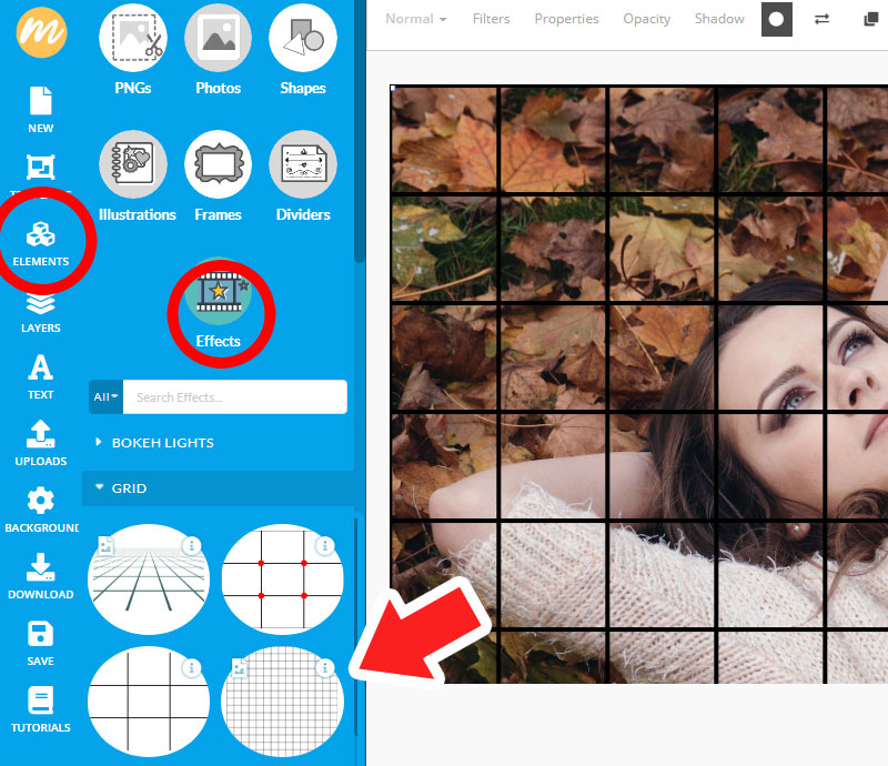 (FREE) Add Grid to Photo Online 5 Ways to Use Grids Creatively