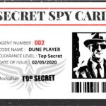 Spy Card