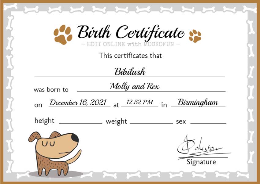  Dog Birth Certificate Template MockoFUN